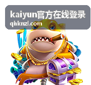 页面加载中断的排查方式